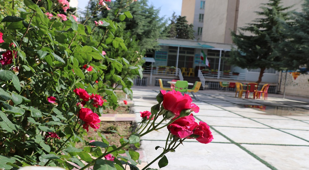 env-image
